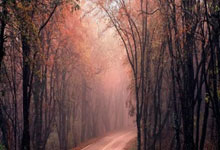 2024国际乒联第48周排名公布 王楚钦男单排名第一中国新闻网.