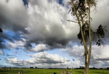 杭州文旅:中澳之战直接带动杭州旅游消费3.08亿元.