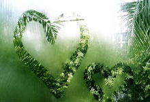 双方互赠乌龙大礼 莱沃库森德甲逆转险胜斯图加特.