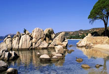 朱婷10分&科内利亚诺0-3不敌诺瓦拉 50连胜遭到终结.